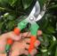 Picture of Plant Cutter for Home Garden | Heavy Duty Branch Pruner for Trees | Gardening Scissors and Tools | Pruning Shears for Plants